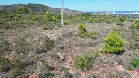 Drone footage over trees in the mountains Stock Footage 346145078