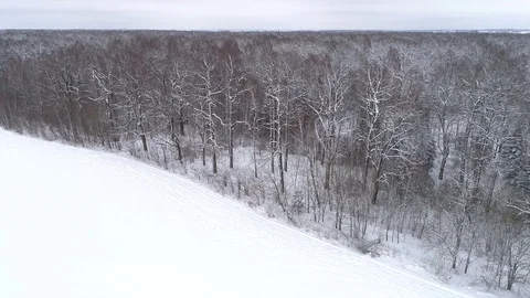 Drone footage over the winter forest and field. symmetrical shot Stock Footage 88768944
