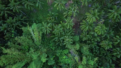 Drone footage of philippines coastline Stock Footage 250356579