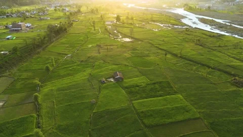 Drone footage of a pristine green field nestled perfectly between the folds of 動画素材 311793477