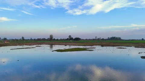 Drone footage reflections of wide open blue sky in a wetlands a filled with bird Stock Footage 310936340