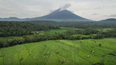 Drone footage of rice fields and Mount Agung. Lempuyang, Bali, Indonesia. Stock Footage 285986646