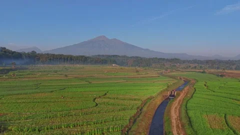 Drone footage of rice fields and irrigation stream with mountain. Stock Footage 340858390