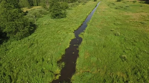 Drone footage of the river between forest. 스톡 동영상 111438911