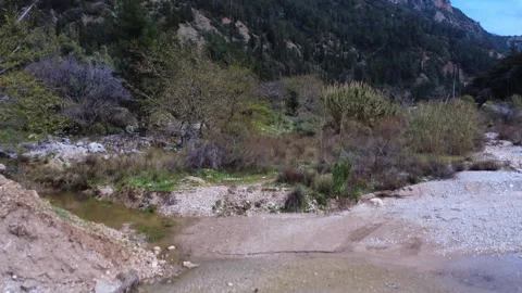 Drone Footage of a River Between Forested Mountains Stock Footage 305236535