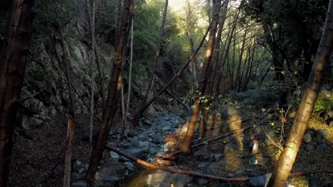 Drone Footage of river in the forest 動画素材 225782991