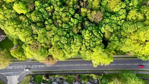 Drone footage of a road on the edge of a forest Stock Footage 274750997