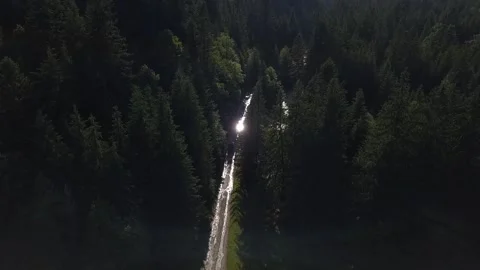 Drone footage of the road in the forest Stock Footage 170843104