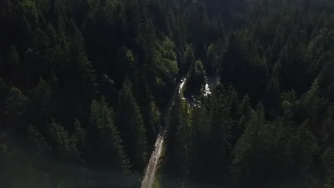 Drone footage of the road in the forest Video stock 170843116