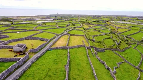 Drone footage of a road going through Inisheer and vast penny walls around it Stock Footage 272602515