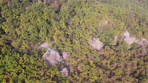 Drone footage rocks in forest Stock-Footage 233370951