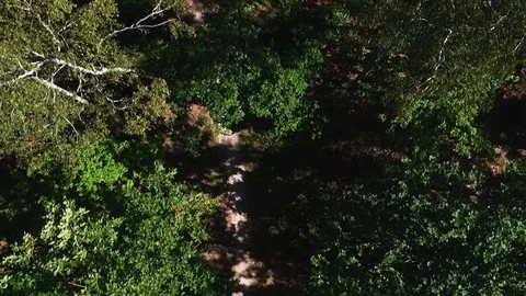Drone footage of runner going down a path in a forest. Stock Footage 106944752