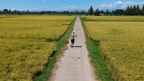 Drone footage of runner in rice fields Stock Footage