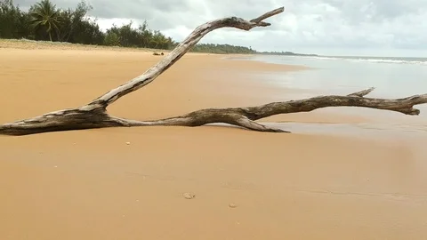Drone footage of a sandy beach Stock Footage 103375019