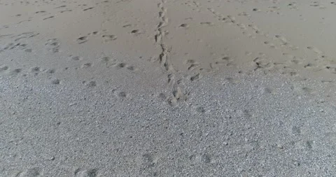 Drone footage of sandy beach Video stock 164168719