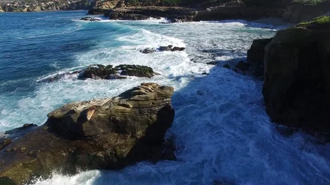 Drone footage of seals bathing on rocks in San Diego Stock Footage