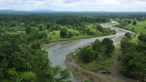 Drone footage of a shallow river, trees and vegetation Stock Footage 113516738