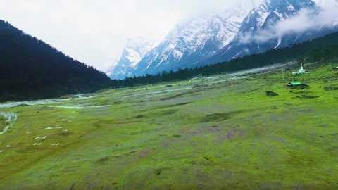 Drone footage showcasing the pristine valley of flowers in full summer bloom at Stock Footage 311502597