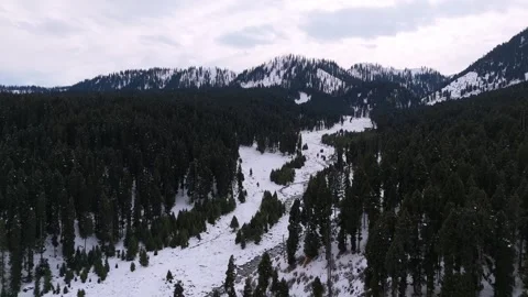 Drone footage showing the magic of a flowing stream in the silence of winter. Stock Footage 311794066