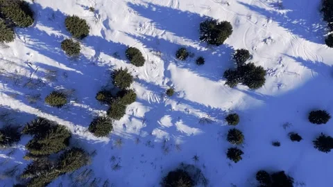 Drone footage showing a top-down view of a snow-covered forest in France during Stock Footage 346673813