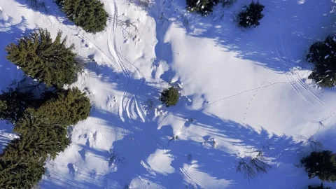 Drone footage showing a top-down view of a snow-covered forest landscape in Stock Footage 346680308