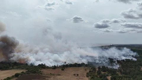 Drone footage shows scale of Suffolk wildfire Stock Footage 340896269