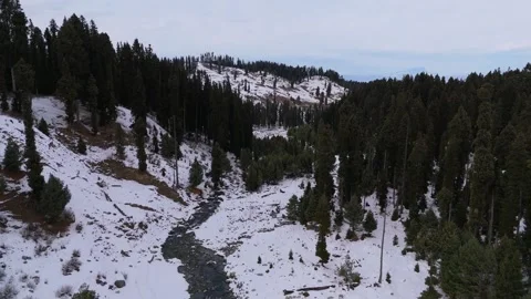 Drone footage of a small stream gracefully flowing through snowy pine forests in Stock Footage 311793717