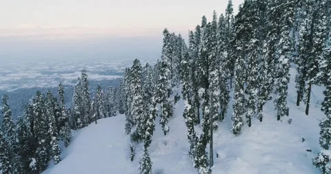 Drone footage of snow-covered pine forests in Gulmarg, Kashmir Stock Footage 310656296