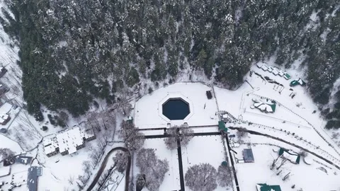 Drone footage of snow-covered pine trees standing tall near the serene Verinag Stock Footage 311129258