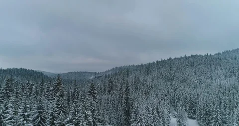 Drone footage snow covered trees, season travel white frozen nature idyllic Stock Footage 125614906