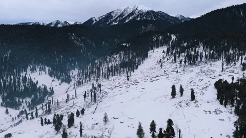 Drone footage of snow homes creating scenic winter patterns. Stock Footage 311794647