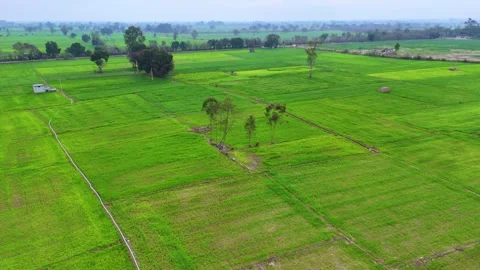 Drone footage of soft sunlight bathing northern India’s agricultural landscape. 動画素材 310935925