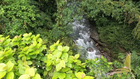 Drone footage of a stream flowing down mountain area 2 Stock Footage 113517762