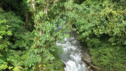 Drone footage of a stream flowing down mountain area 3 Stock Footage 113517856