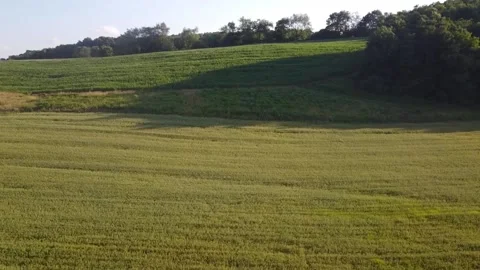 Drone Footage in the Summer of Fields Stock Footage 138038948
