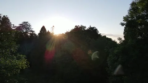 Drone footage of sunset shining through trees with cinematic lens flare Stock Footage 338069671