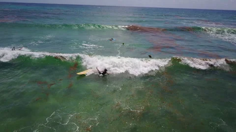 Drone Footage of Surf Lesson fall in Cozumel, Mexico Stock Footage 309961918