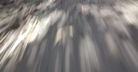Drone Footage Sweeping Over Leaf-Covered Forest Floor Stock Footage 311940822