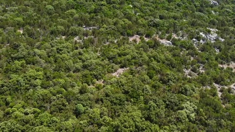 Drone Footage of Tree-Covered Mountain in Bosnia and Herzegovina Stock Footage 313064577