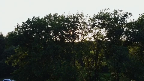 Drone footage of tree crowns in the forest. Stock Footage 106946424