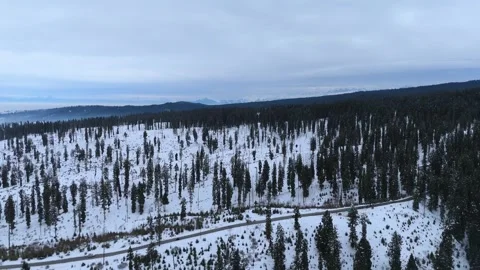 Drone footage of tree-lined pathways in snowy Dhoodhpathri. Stock Footage 311794303