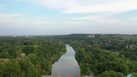 Drone footage trees Stock Footage 212103596