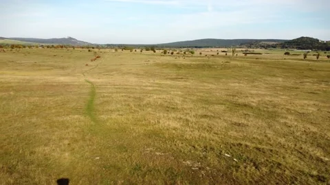 Drone footage of unusual monuments called Human Comedy in a field in Hungary Stock Footage 225677252