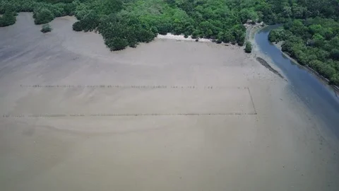 Drone footage video Stock Footage 221395339