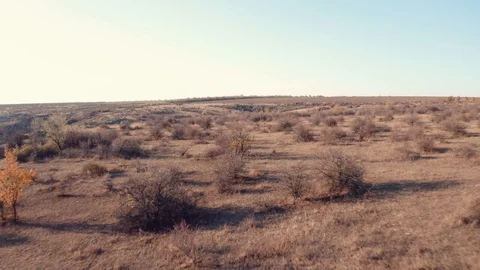 Drone footage view. Flight through autumn canyon. Rocks and water Stock Footage 121481694