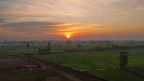 Drone footage of vivid contrasts between earth, sun, and crops. Stock Footage 310937605