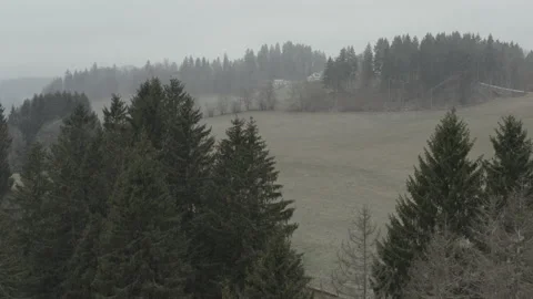 Drone footage of the winter forest during snowfall Stock Footage 228618928