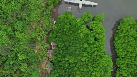 Drone footage of a wreck plane half submerged in Philippines 스톡 동영상 244472495