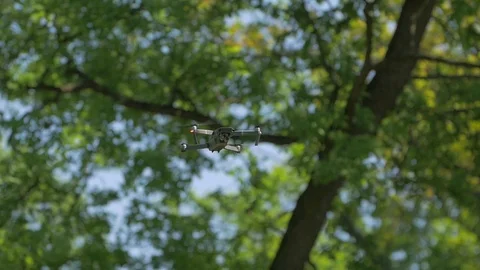 The Drone In Forest Background Stock Footage 125483065