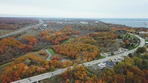 Drone A forest in the fall 库存影片 147010703